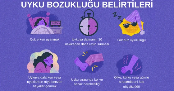 Uykuyla İlgili Sorunların Belirtileri Beyinde Ortak Yerlerde Bulunur